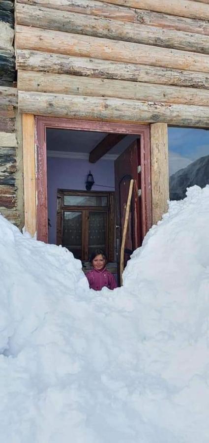 Guesthouse Svanuri Sakhli Ushguli Bagian luar foto